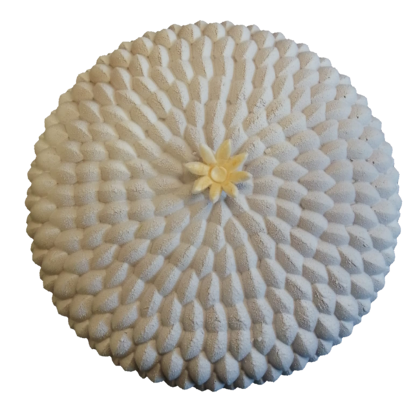 https://www.gelateriagodot.it/wp-content/uploads/2021/03/Duchessa-S-e1616683444440-600x600.png