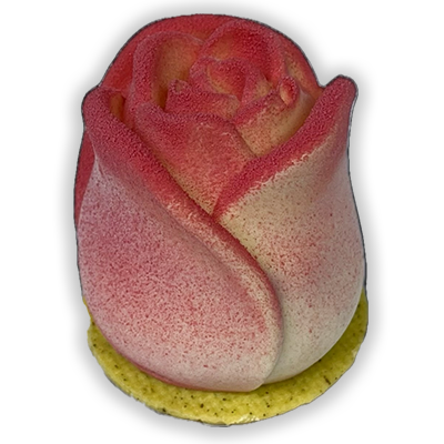 https://www.gelateriagodot.it/wp-content/uploads/2026/05/rosa-mamma-sito.png